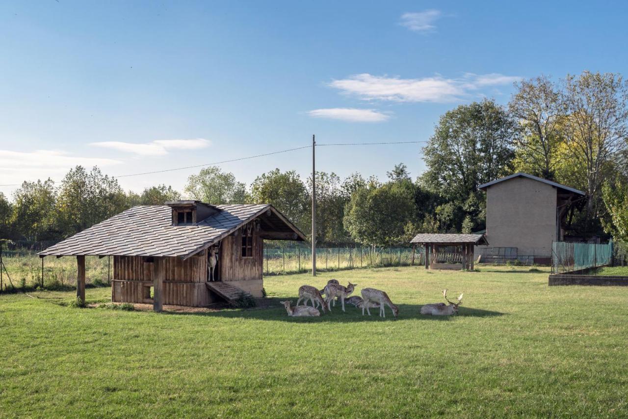 La Casetta Dei Daini - Affitti Brevi Italia Orio al Serio Exterior foto